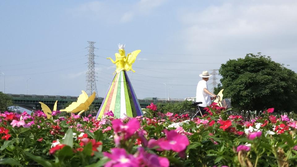 在盛開的花海中欣賞美麗的蝴蝶女神。   圖：新北市高灘處提供