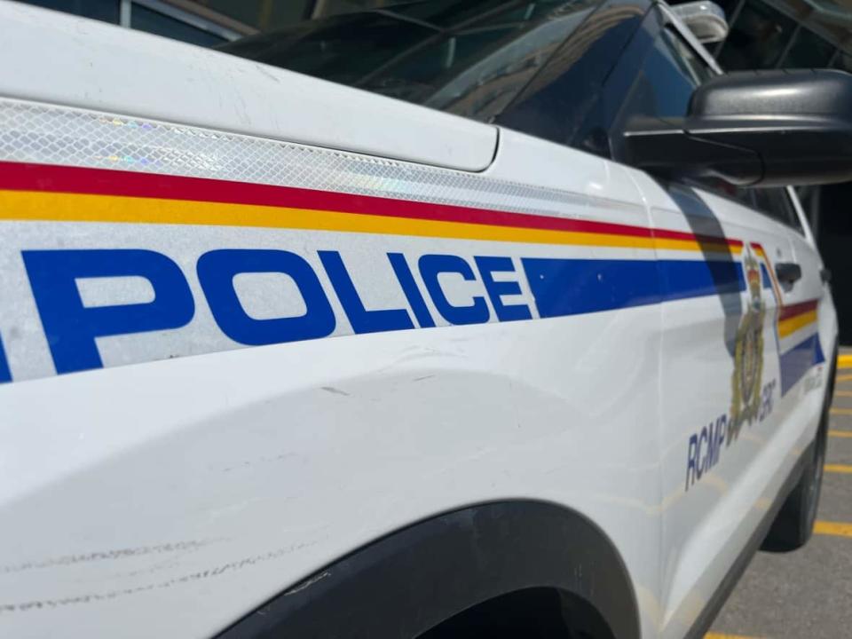 Police arrested a man in Mineville, N.S., over the incident.  (David Bell/CBC - image credit)