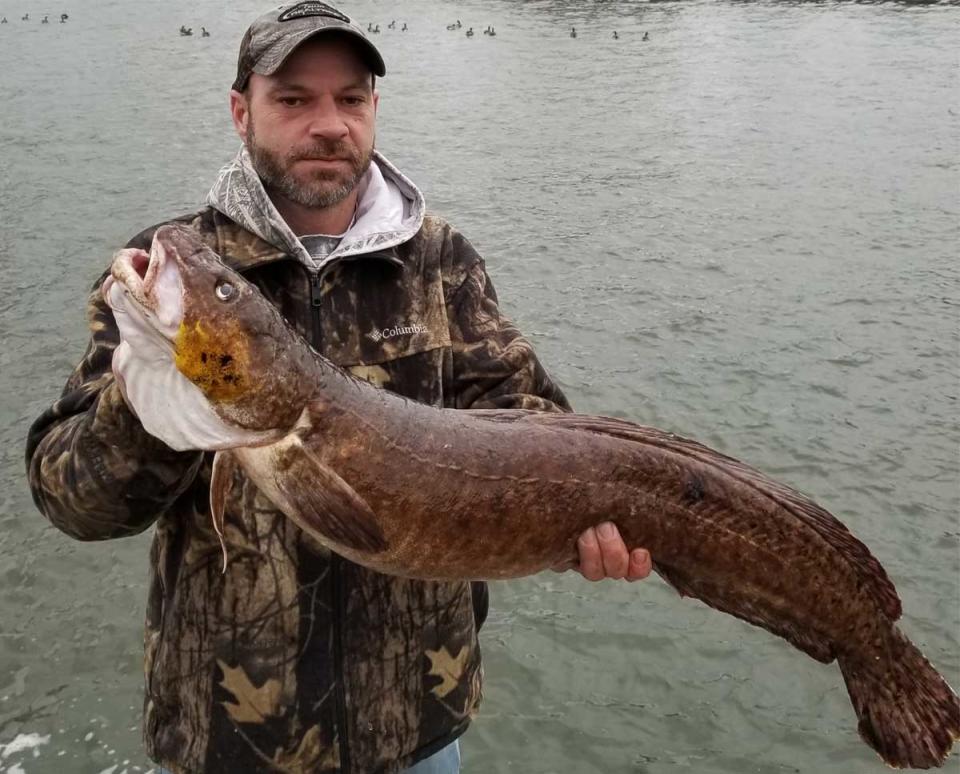 Anthony Burke of Cedar Lake, Ind., holds the Indiana record burbot he caught in Lake Michigan on Jan. 6, 2024.