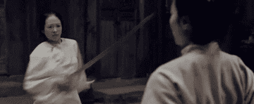 GIF of a fight scene from "Crouching Tiger, Hidden Dragon"