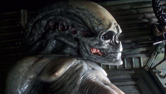 How 'Alien: Covenant' Erases Predators From the Official Alienverse  (Spoilers!)