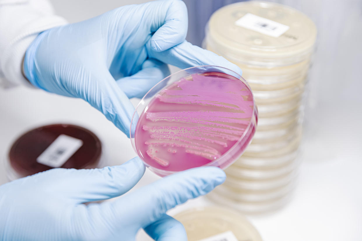 Ein experimentelles Antibiotikum zeigt in Tierversuchen vielversprechende Wirksamkeit gegen multiresistente Erreger. (Symbolbild: Getty Images)