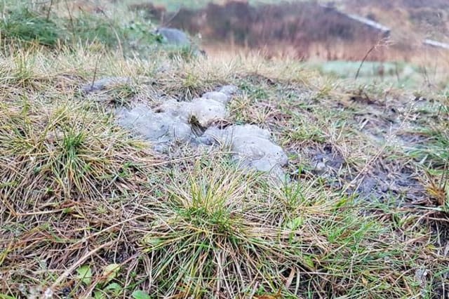 Mysterious 'moon poo' found on Huddersfield moorland