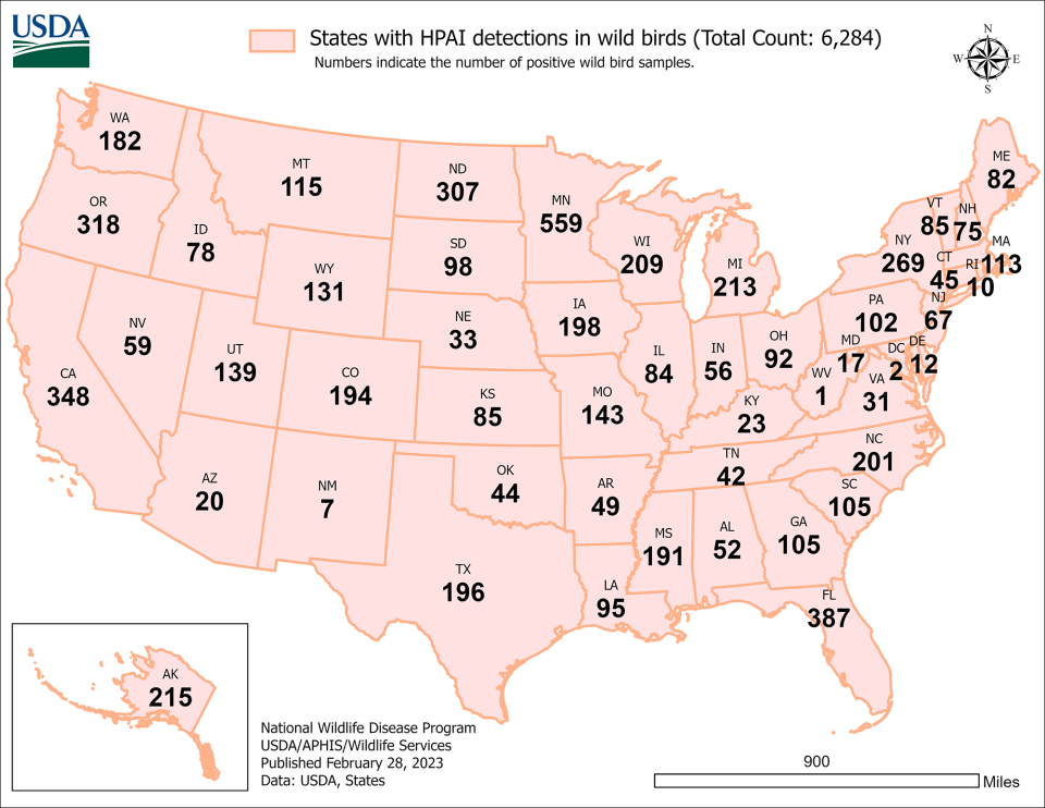 States where avian influenza strain H5N! has been detected in wild birds in the United States.