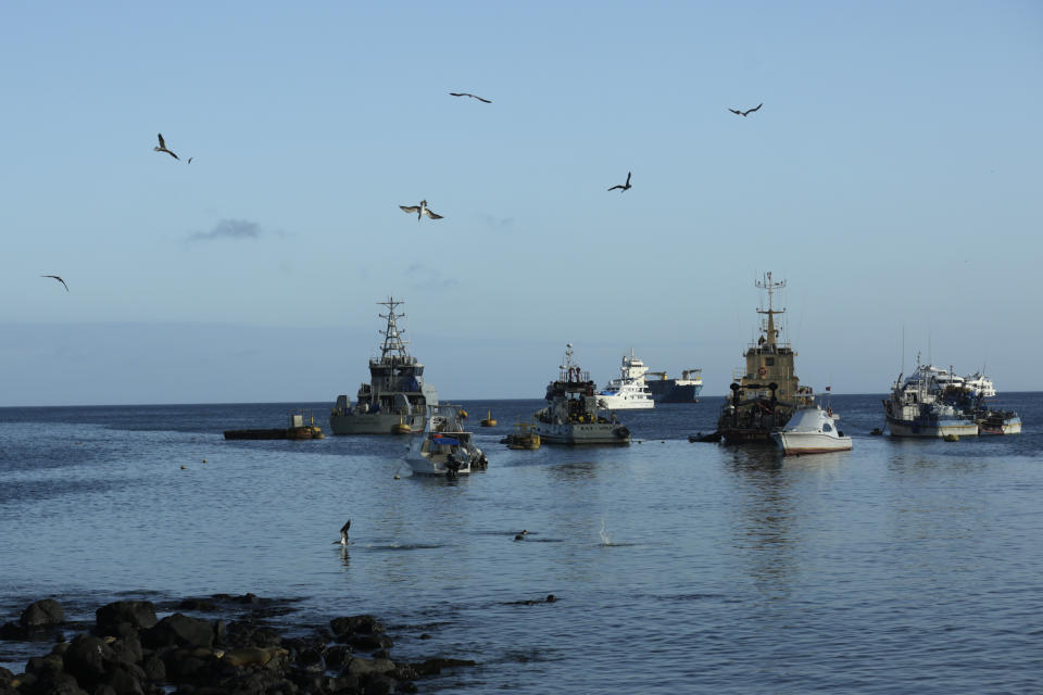 In this May 2, 2020 photo, birds fly over fishing and tourist boats anchored in the bay of San Cristobal, Galapagos Islands, Ecuador. In the past the storied islands have been relatively shielded by what happens 600 miles away on the mainland, but amid the new coronavirus pandemic the island chain's famous isolation is now heightening its hardship. (AP Photo/Adrian Vasquez)