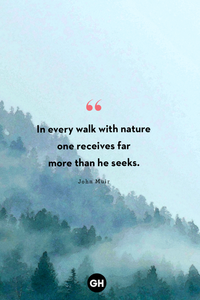 60 Best Nature Quotes That Capture the Beauty of the Outdoors