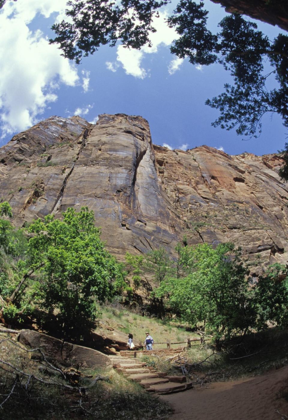 Zion National Park, Riverside Walk Trail In Zion Canyon