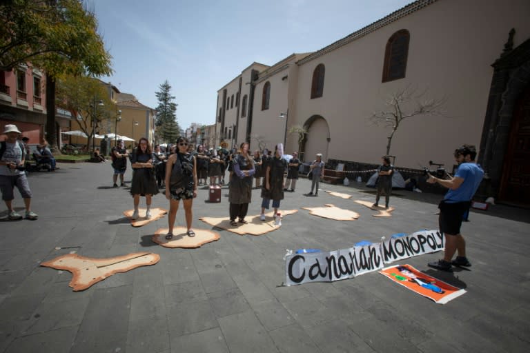 Members of the 'Canaria se agota' ('Canaria is exhausted') movement protest against the constuction of a hotel near La Tejita playa (DESIREE MARTIN)