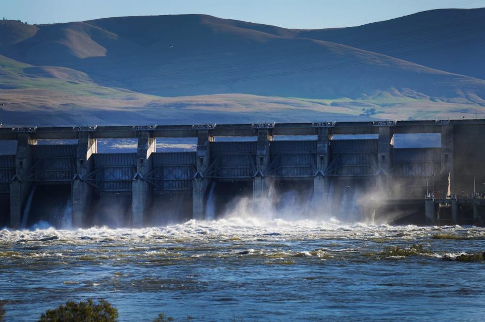 Water flows over The Dalles Dam on the Columbia River as seen from The Dalles, Ore., on Sunday, June 19, 2022. Hydroelectric dams, like The Dalles Dam, on the Columbia and its tributaries have curtailed the river's flow, further imperiling salmon migration from the Pacific Ocean to their freshwater spawning grounds upstream.