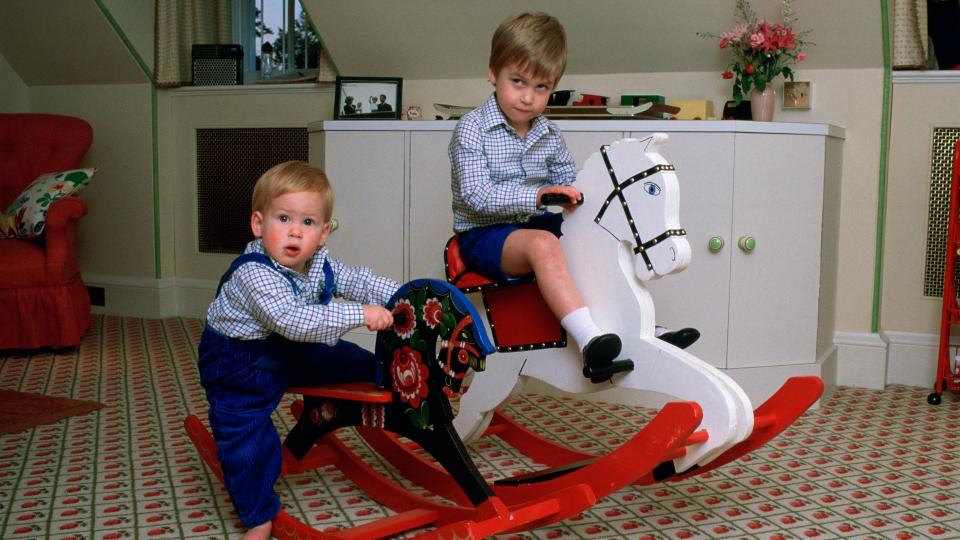 Princes William and Harry - and their rocking horse