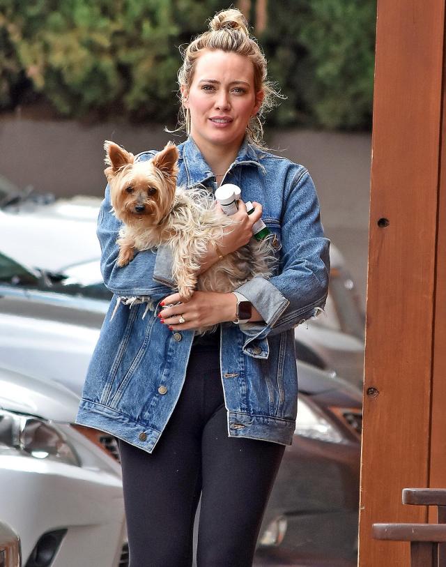 Jenny McCarthy carries pet pooch in a Louis Vuitton bag in New York