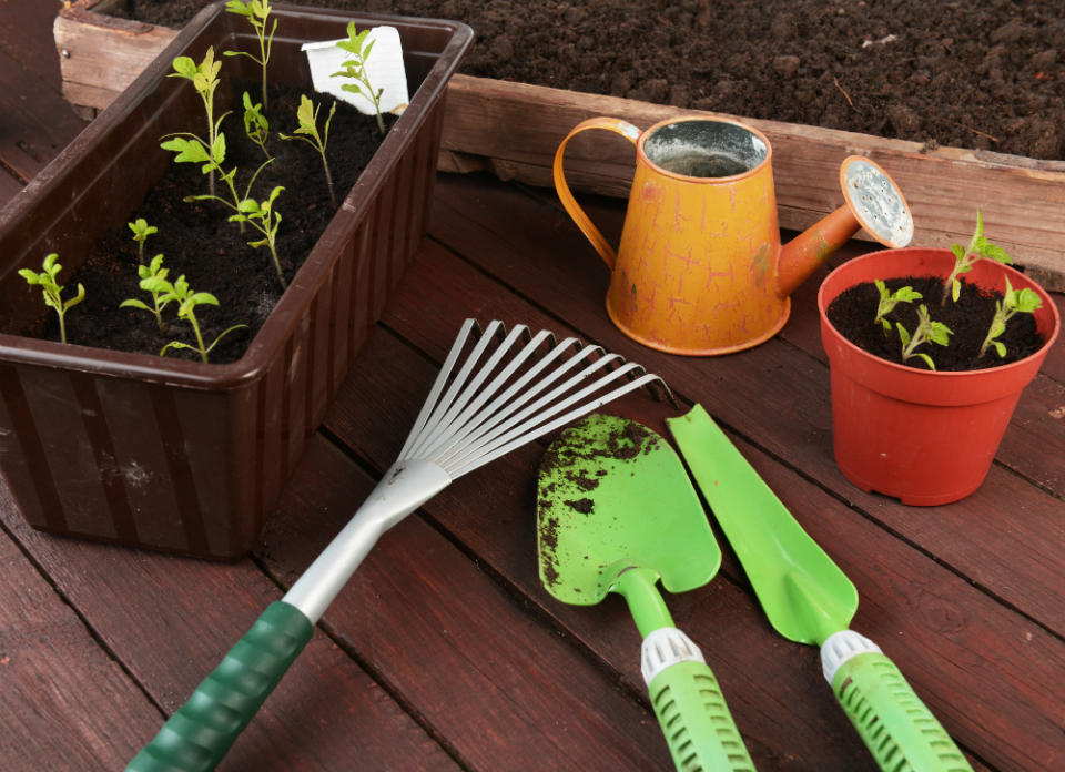 <body> <p>The sterilizing power of bleach is put to good use in the garden. Soak garden <a rel="nofollow noopener" href=" http://www.bobvila.com/articles/3676-how-to-care-for-garden-tools/#.VUetEPlVhBc?bv=yahoo" target="_blank" data-ylk="slk:tools;elm:context_link;itc:0;sec:content-canvas" class="link ">tools</a> in a solution of one part bleach to four parts water to disinfect and sanitize; this reduces the risk of spreading plant diseases. Use the same solution on plant pots to kill any plant diseases before reusing the pots.</p> <p><strong>Related: <a rel="nofollow noopener" href=" http://www.bobvila.com/gardener-app/47489-new-notable-12-gadgets-to-tech-out-your-garden/slideshows?bv=yahoo" target="_blank" data-ylk="slk:12 Gadgets to Tech Out Your Garden;elm:context_link;itc:0;sec:content-canvas" class="link ">12 Gadgets to Tech Out Your Garden</a> </strong> </p> </body>
