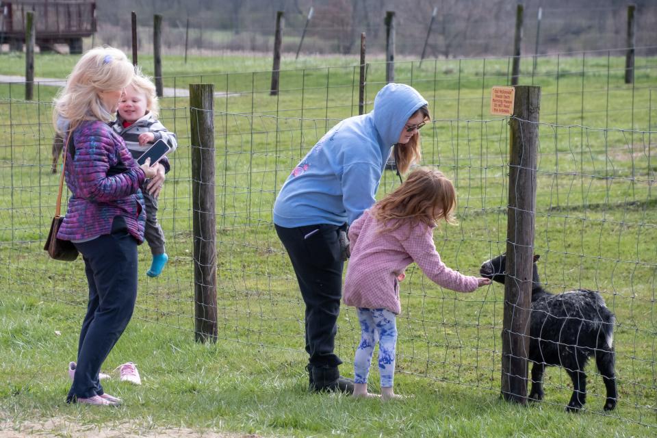 A family visits with the baby goats at the Spring Cuddles on the Farm event over Easter weekend at McDonald's Greenhouse and Corn Maze.