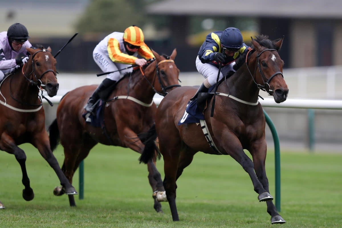 Horse racing at Newmarket (David Davies/Pool via Getty Images)