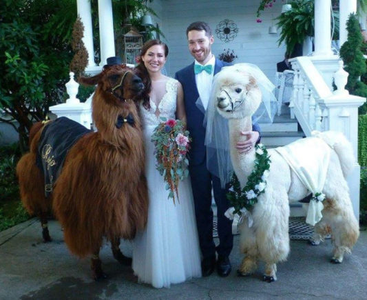 Una boda única