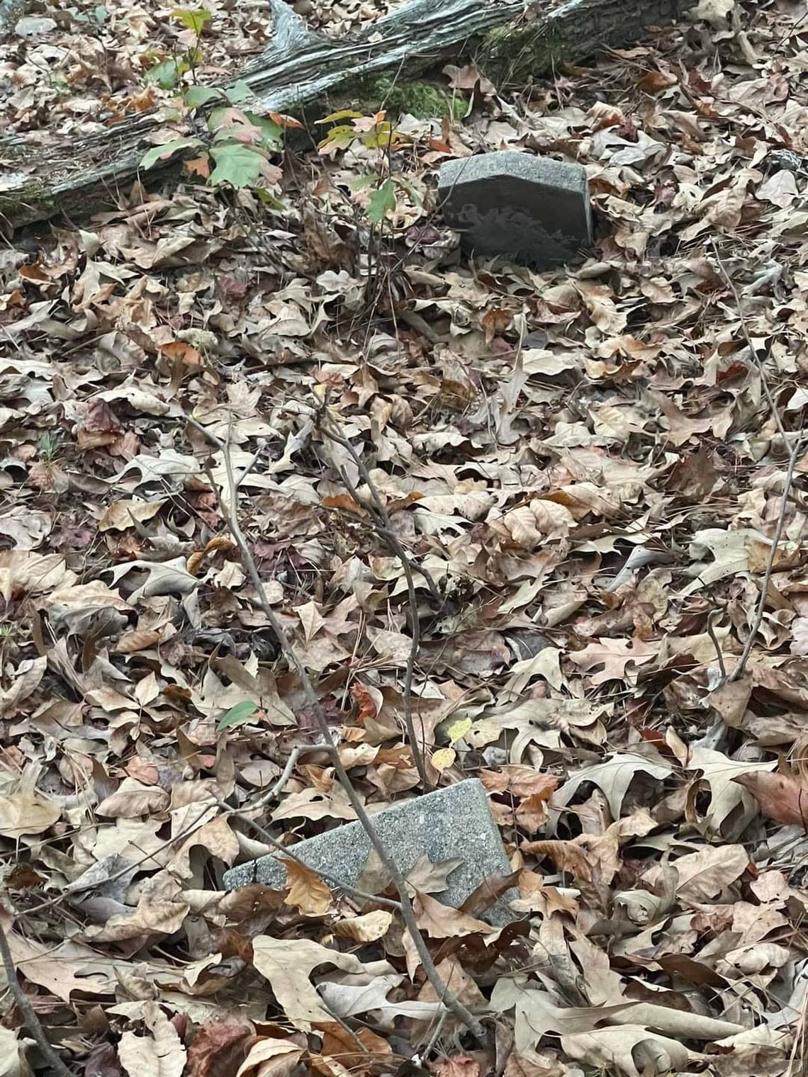 Headstones are covered in leaves at an overgrown and forgotten cemetery in Macon.