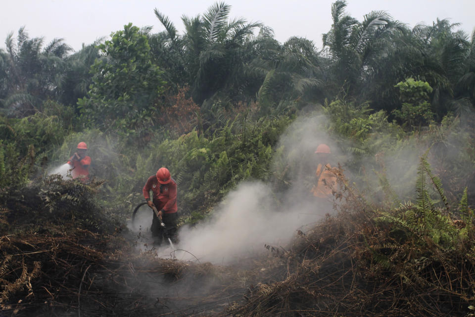 Firefighters try to extinguish brush fires in Pekanbaru, Riau province, Indonesia, Saturday, Sept. 14, 2019. Nearly every year, Indonesian forest fires spread health-damaging haze across the country and into neighboring Malaysia and Singapore. The fires are often started by smallholders and plantation owners to clear land for planting.(AP Photo)