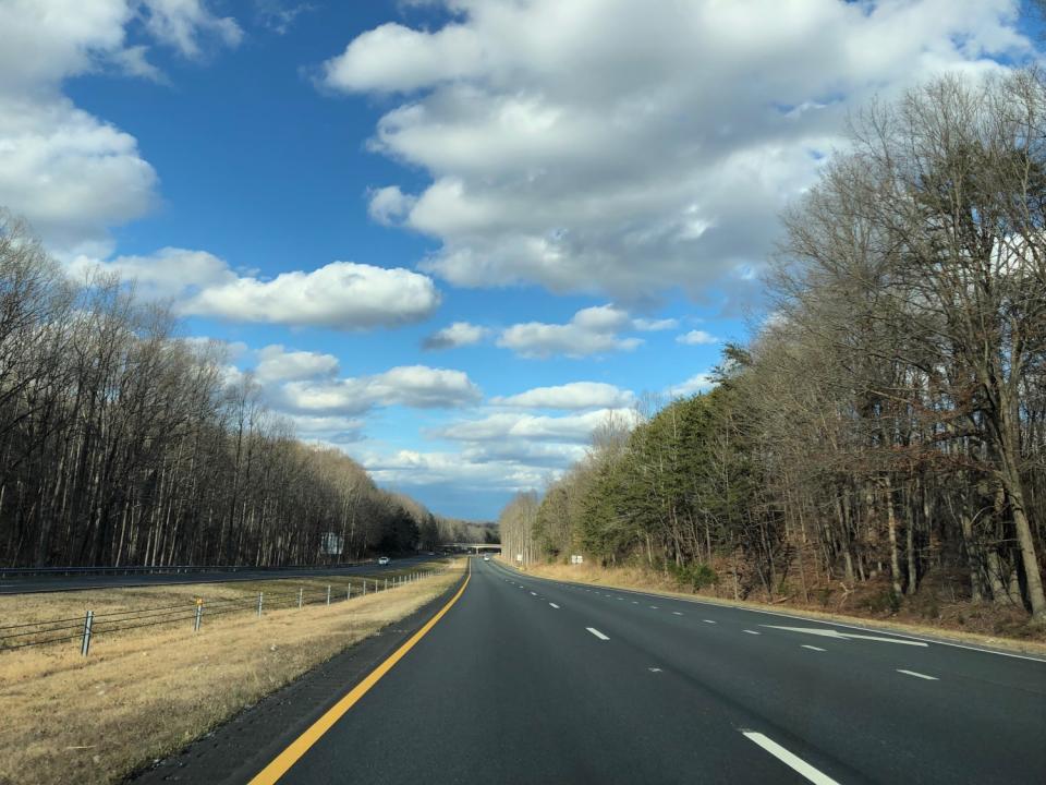 Stands of trees line the highway leading from North Carolina