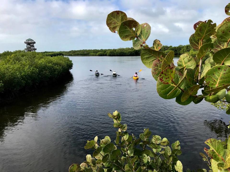 The Florida Department of Environmental Protection is proposing rules to cut stormwater pollution from housing developments around the state. Kayakers enjoy Manatee County’s Robinson Preserve park in this Bradenton Herald file photo.