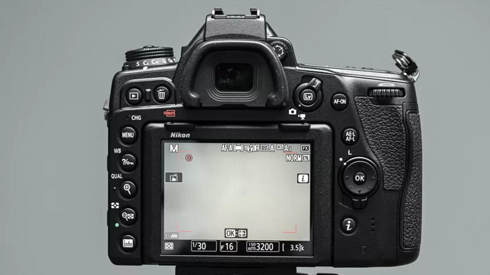 Nikon D780 review photo