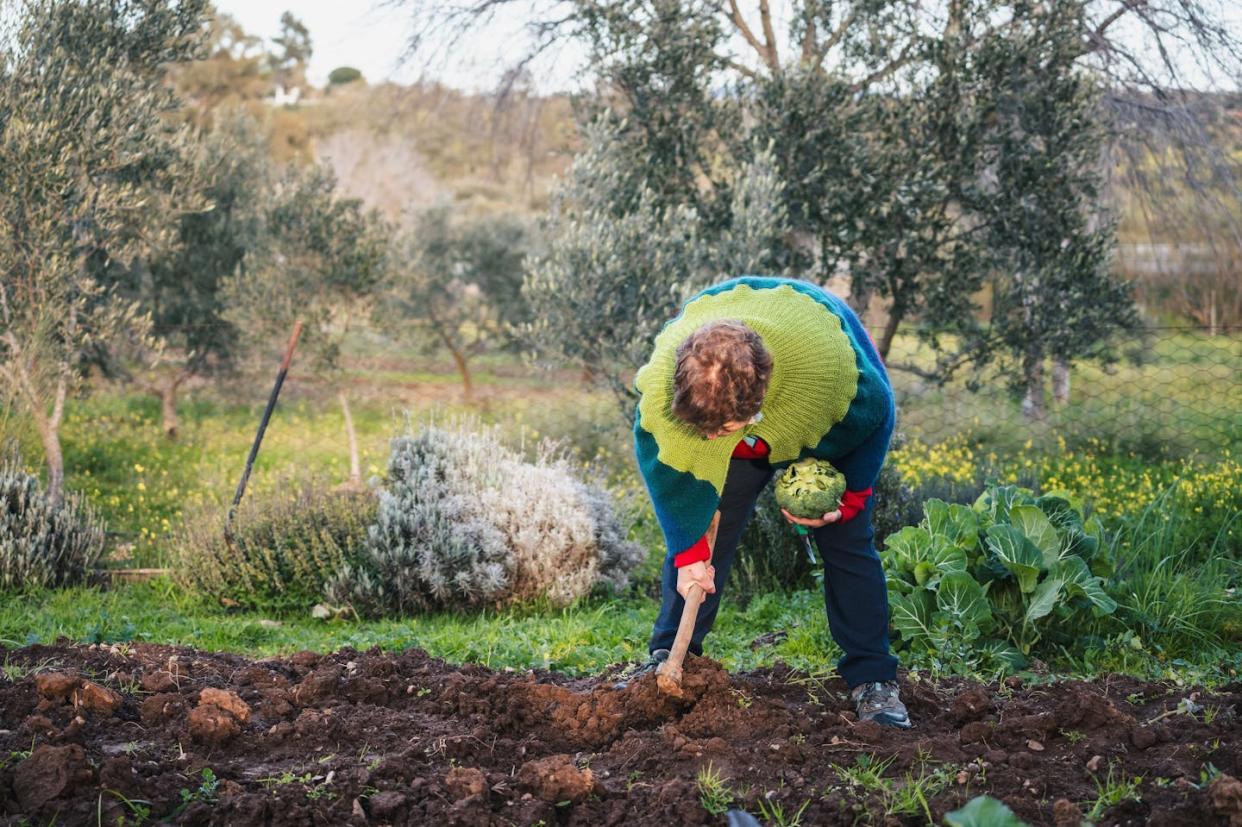 <a href="https://www.shutterstock.com/es/image-photo/older-woman-working-garden-soil-harvested-2418207767" rel="nofollow noopener" target="_blank" data-ylk="slk:Marko Domka / Shutterstock;elm:context_link;itc:0;sec:content-canvas" class="link ">Marko Domka / Shutterstock</a>