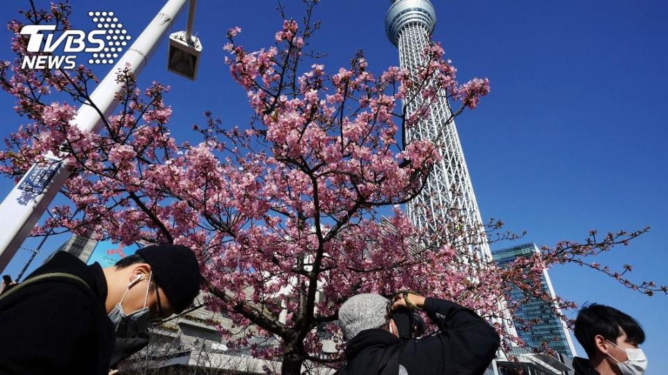 花粉症(Hay Fever)為一種過敏性疾病。（圖／達志影像美聯社）