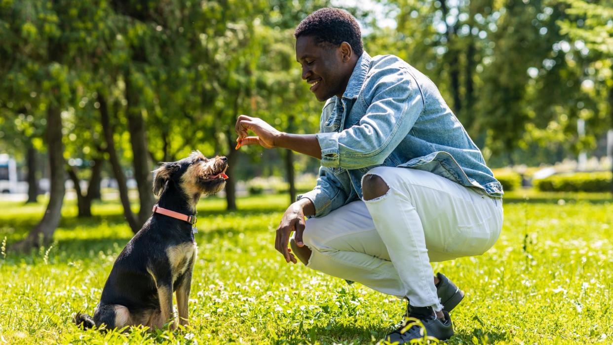  A smiling man kneels as he feeds his dog a treat in a sunny park. 