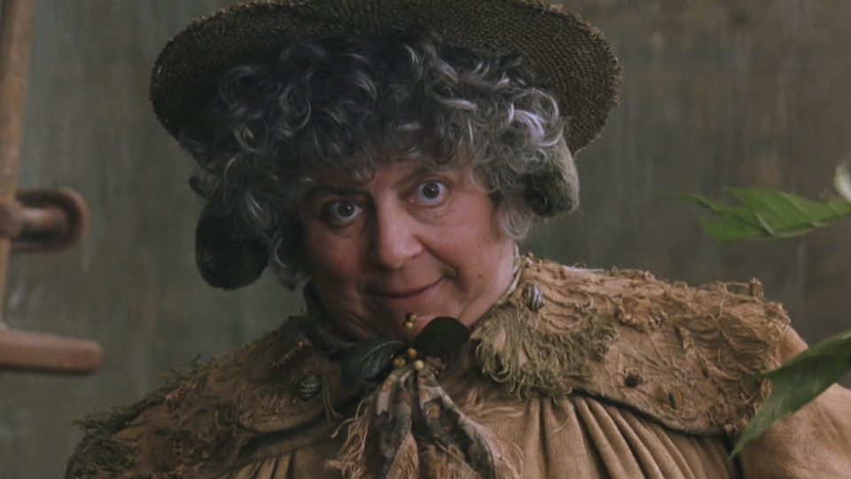 Miriam Margolyes in Harry Potter and the Chamber of Secrets
