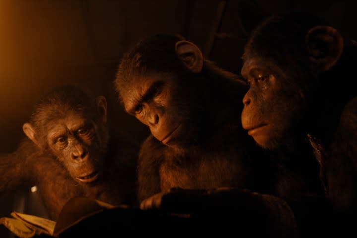 Noa reads a book in Kingdom of the Planet of the Apes.