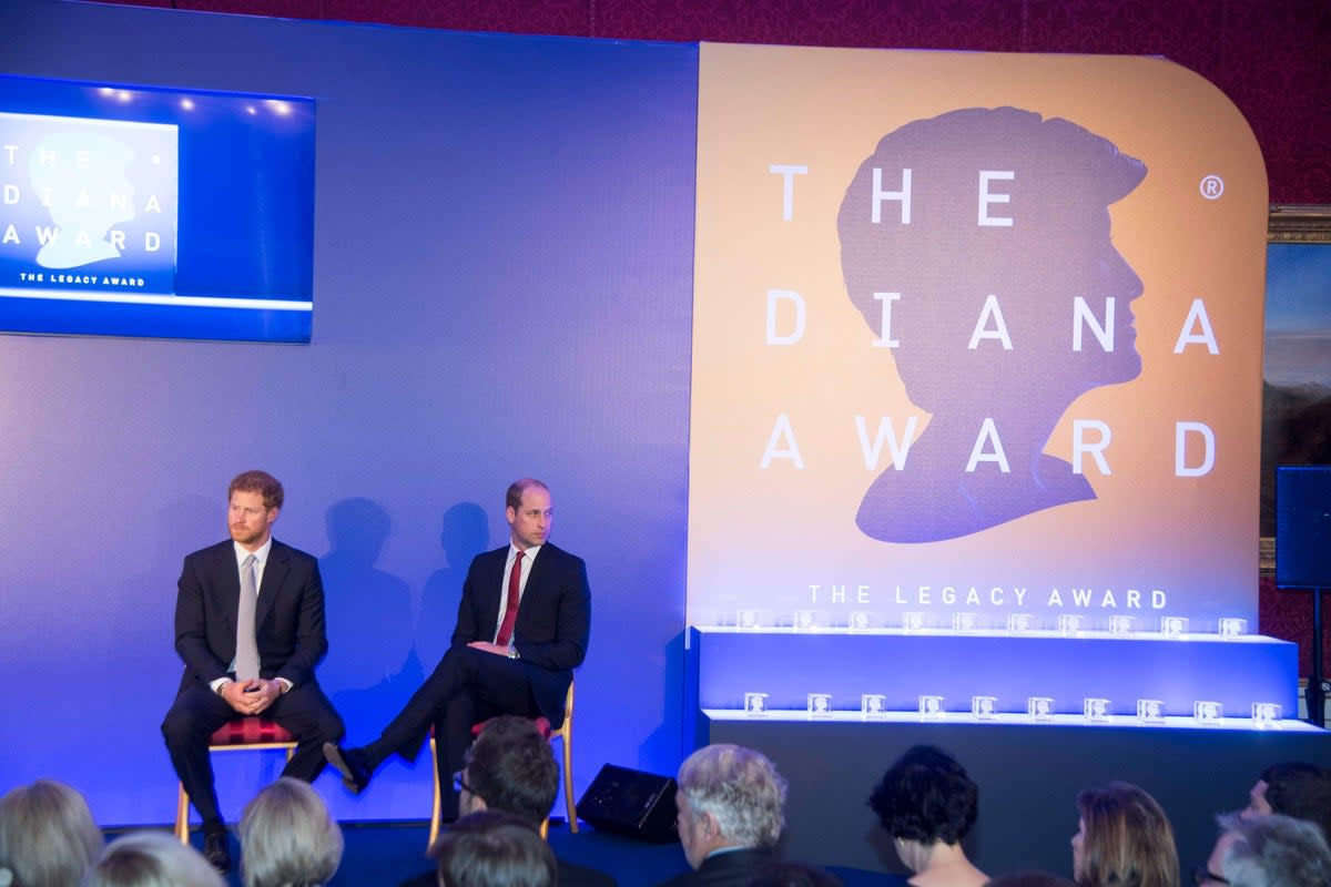 Harry and William at the Diana Award’s inaugural Legacy Award (PA)