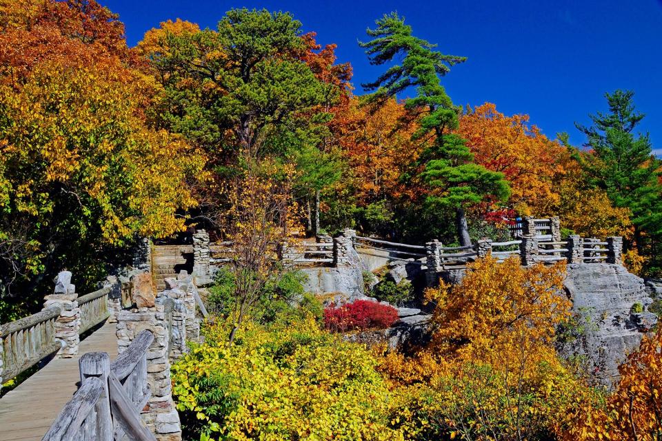 A bridge in Coopers Rock State Forest