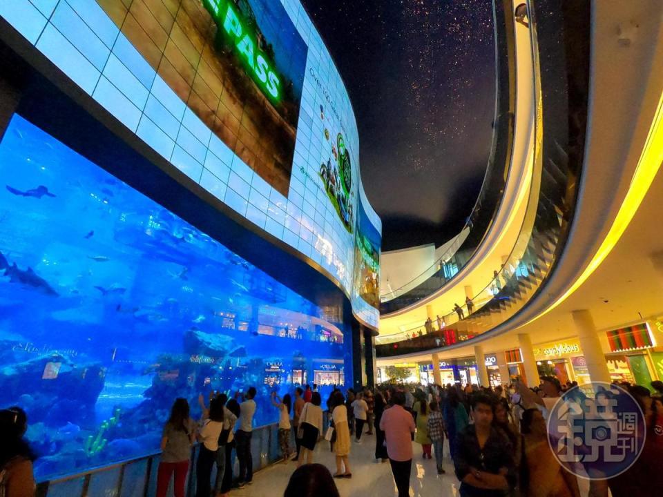 許多遊客造訪The Dubai Mall，都會到水族館外朝聖。