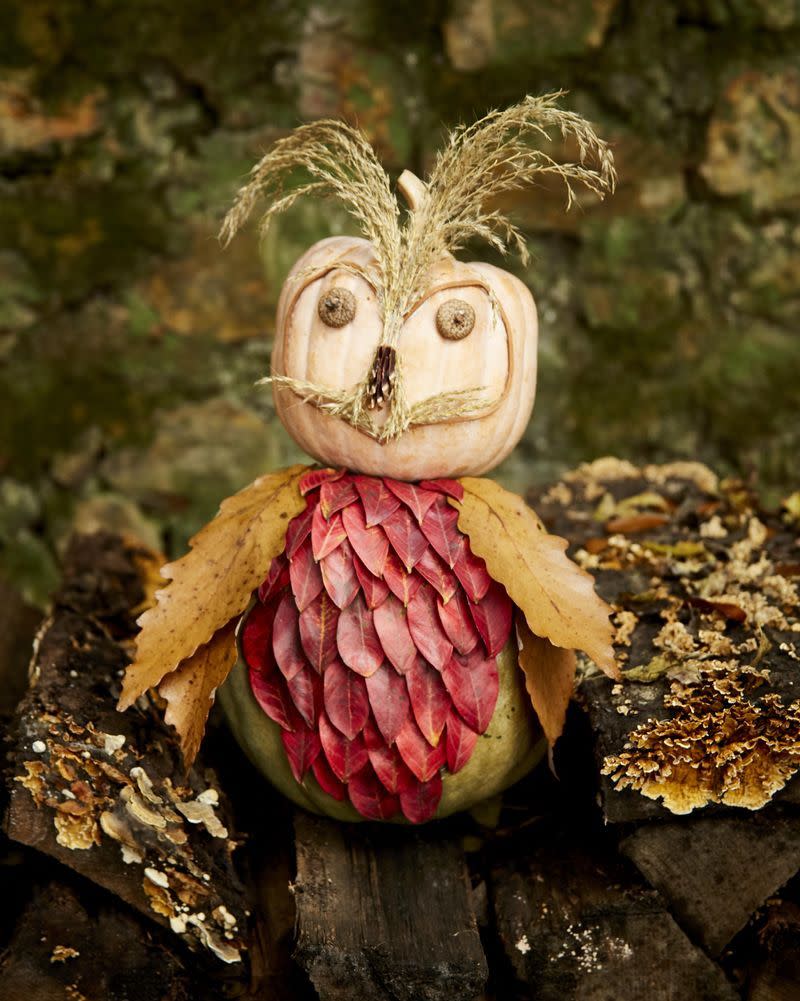 Natural Owl Pumpkin