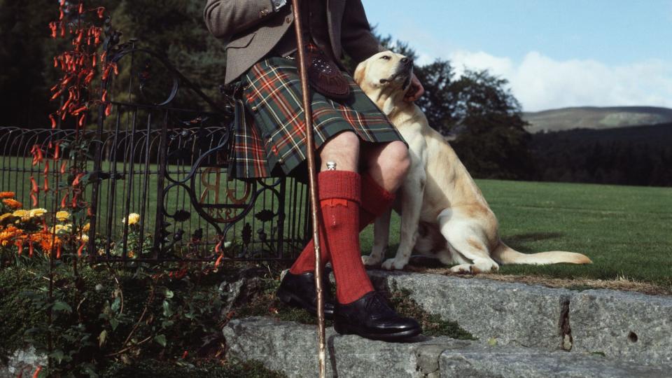 prince charles poses with his yellow labrador dog on the grounds of balmoral castle on his birthday