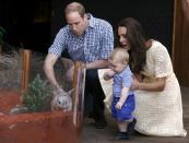Britain's Kate, the Duchess of Cambridge, and her husband Prince William watch as their son Prince George looks at an Australian animal called a Bilby, which has been named after the young prince, during a visit to Sydney's Taronga Zoo, Australia Sunday, April 20, 2014. (AP Photo/David Gray, Pool)