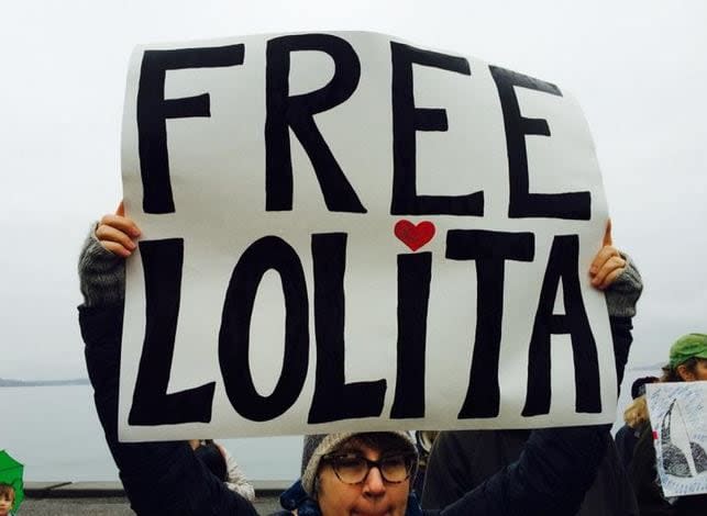 A protest for Lolita was held at Alki on Saturday.