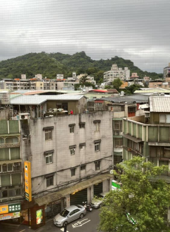 不少人都力挺，都市養蜂對生態有幫助。（圖／翻攝自《信義區三兩事》）