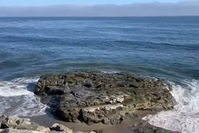 <p>KSBW Action News 8/Youtube</p> Santa Cruz beach