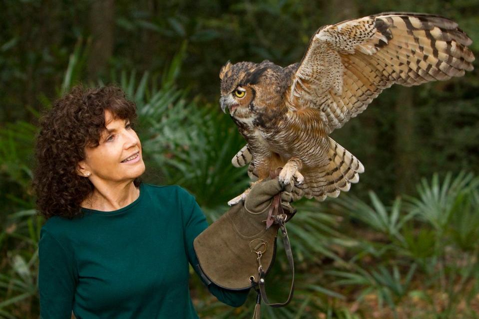 Sandy Beck with Bubo, a disabled great horned owl at the Wakulla Wildlife Festival.