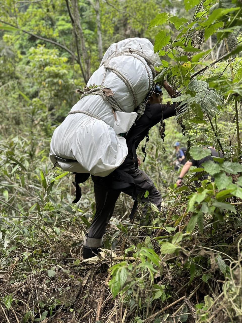 森林護管員將黑熊遺體背下山。（林務局東勢林區管理處提供）