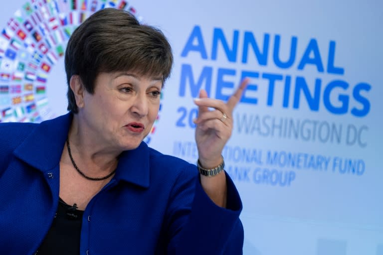 IMF Managing Director Kristalina Georgieva said she was "deeply grateful" for the board's support (Brendan Smialowski)