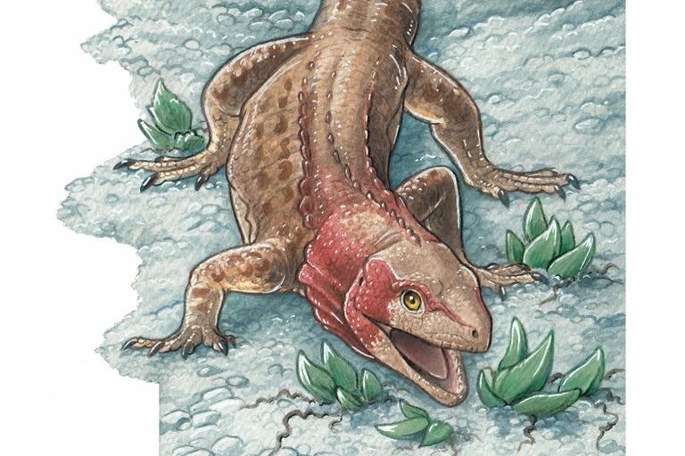 Reconstrucción del lagarto Alamitosphenos mineri