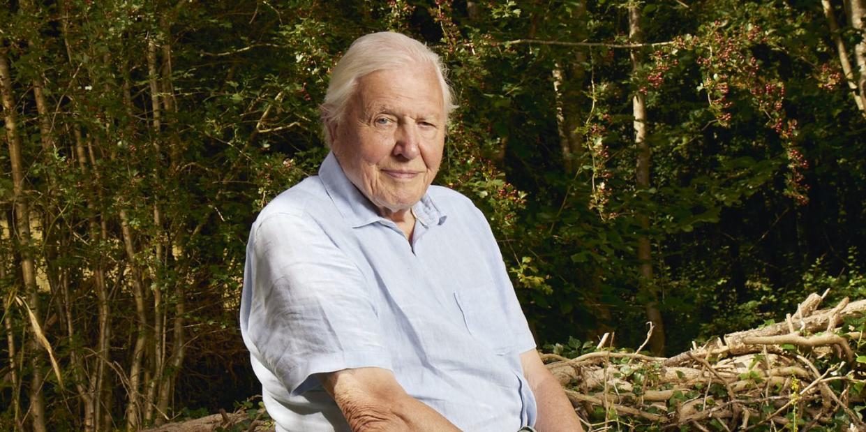 sir david attenborough in planet earth iii