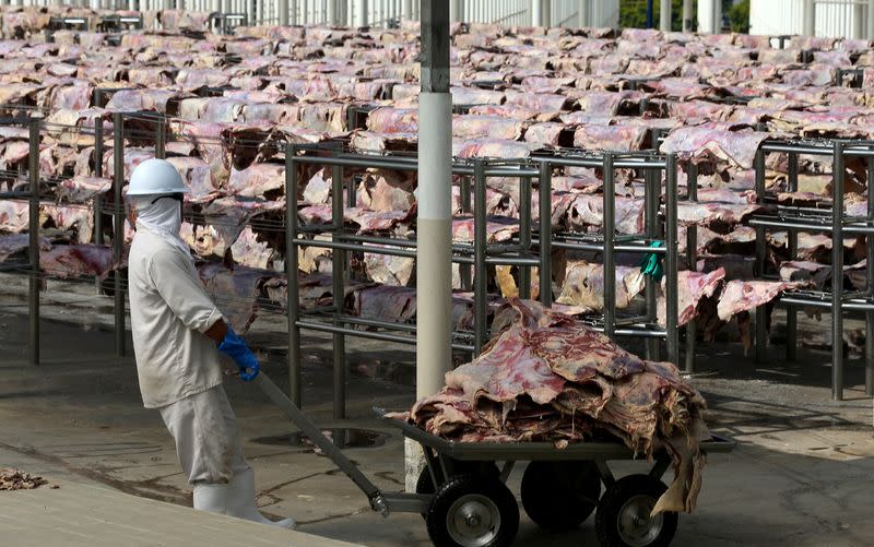 FILE PHOTO: A worker carries salted meat which will be spreaded, dried and then packed at a plant of JBS S.A, the world's largest beef producer, in Santana de Parnaiba