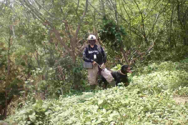 Pobladores de las comunidades cercanas a la mina Peña Colorada señalan que son intimidados por policías privados que van acompañados de perros de ataque. 