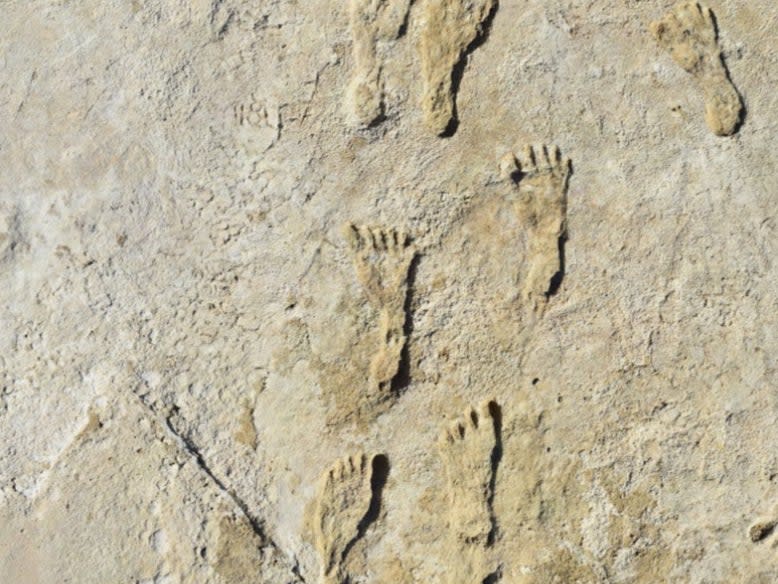 Fossilized footprints found in New Mexico (NPS, USGS and Bournemouth University)