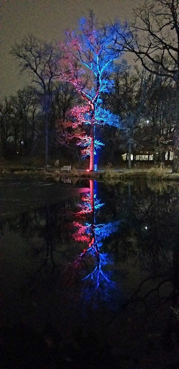 "Winter Wonderland Holiday Lights" at Wellfield Botanic Gardens in Elkhart grew to 1 million lights this season.