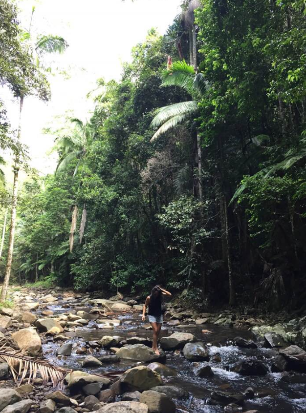 Tired of eating? Walk it all off at some of the Gold Coast’s beautiful nature spots like the Cougal Cascades. Photo: Be