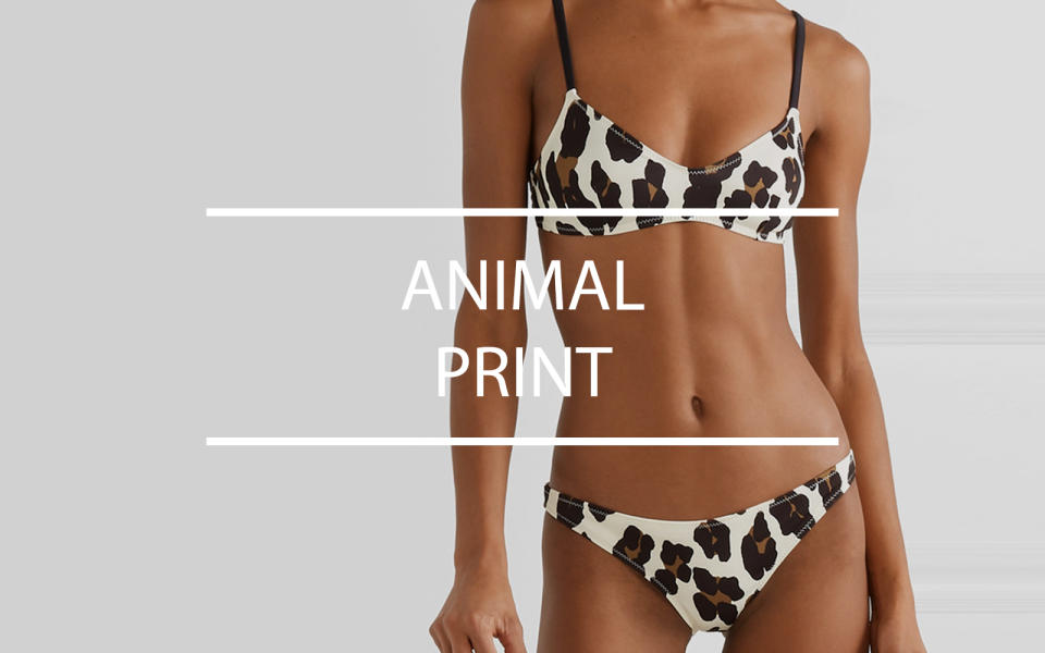 Animal Print