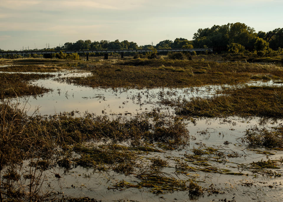 The Pearl River during a water shortage in Jackson on Sept. 1.